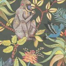Savuti wallcovering Cole and Son Vintage- Old wallpaper 