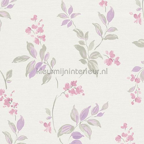  papel de parede 304161 sale wallcovering AS Creation