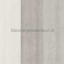 BALTIC BOIS TAUPE behang BTI29241229 strepen Casadeco