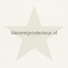 Giga ster licht grijsbeige tapeten Rasch uni farben 