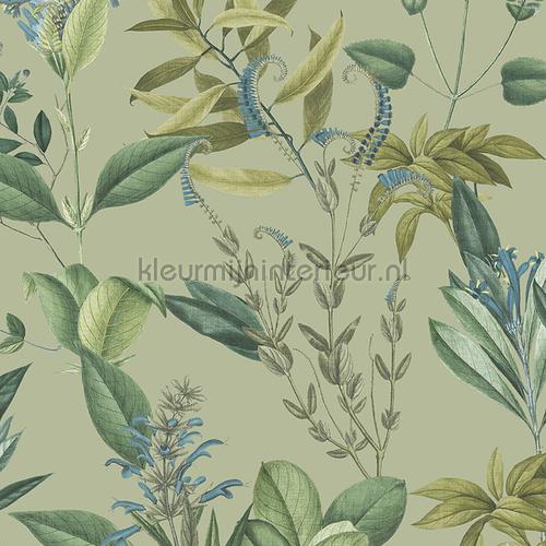 flower tapet bl22741 Moderne - Abstrakt Hookedonwalls