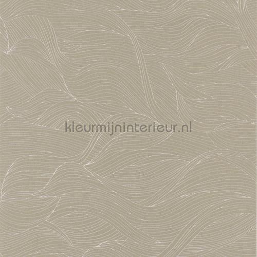 alula behaang 74360314 Blossom Casamance