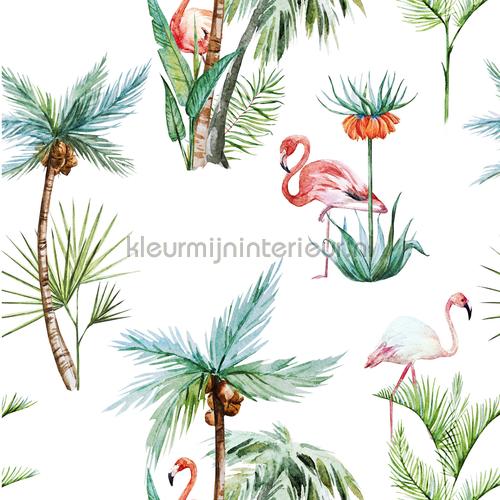Flamingo Palm papier peint flamingo-palm Exotique Creative Lab Amsterdam
