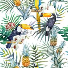 Tucan Cla wallcovering Creative Lab Amsterdam Vintage- Old wallpaper 