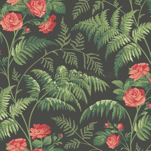 Rose wallcovering 115-10030 romantic Cole and Son