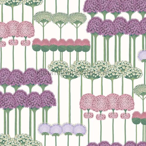 Allium wallcovering 115-12034 romantic Cole and Son