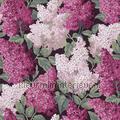 Lilac Grandiflora Set 2 rollen 115-12035 styles