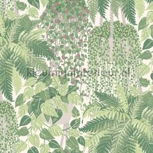 Fern behaang Cole and Son Botanical 115-7021