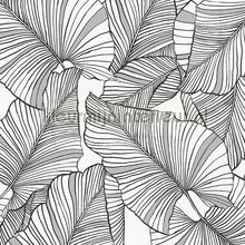 laurus wallcovering Hookedonwalls Botanical 19711