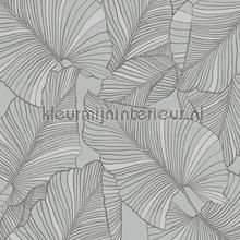 laurus wallcovering Hookedonwalls Botanical 19713