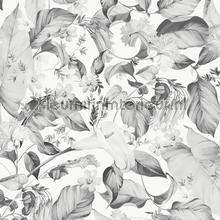 anthea wallcovering Hookedonwalls Botanical 19731