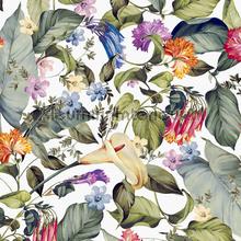 anthea wallcovering Hookedonwalls Botanical 19732