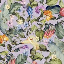 anthea wallcovering Hookedonwalls Botanical 19733