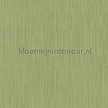ambrosia wallcovering Hookedonwalls Botanical 19755
