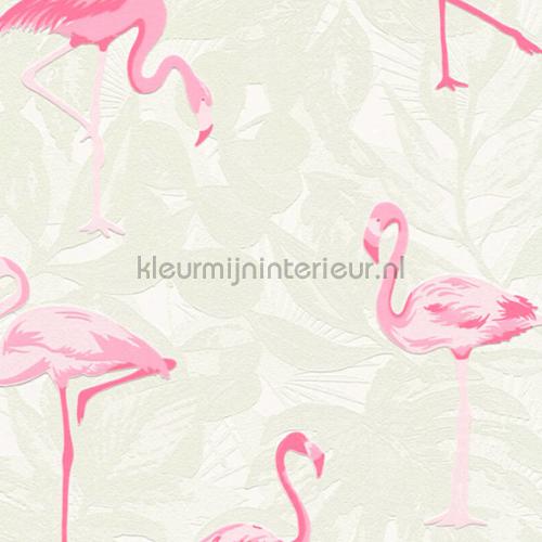 Flamingos in het wit gebladerte papier peint 35980-1 filles AS Creation