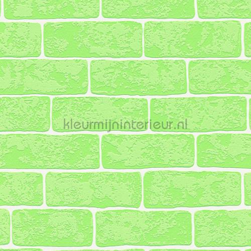 Groene bakstenen met relief wallcovering 35981-3 girls AS Creation