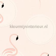 Pure flamingo behang AS Creation Boys and Girls 6 36998-3