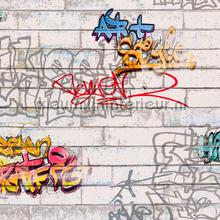 Graffiti op baksteen muur behang AS Creation jongens 
