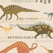 Dino verzameling tapeten AS Creation weltraum 