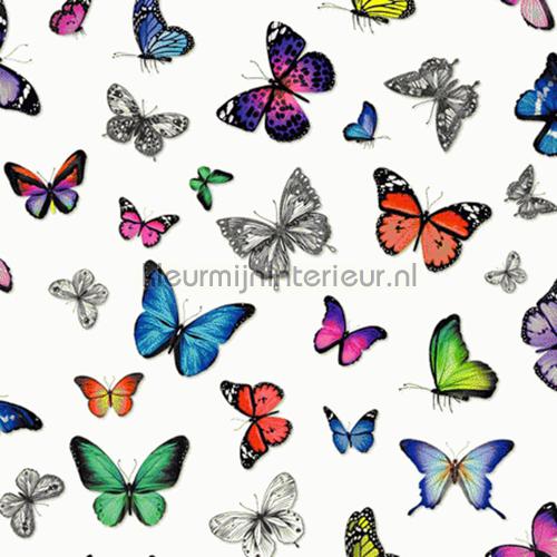 Butterflies kleurrijk wallcovering 138507 girls Esta home