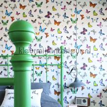 Butterflies kleurrijk wallcovering 138507 girls Esta home