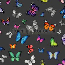 Butterflies kleurrijk op zwart papel pintado Esta home Brooklyn Bridge 138508