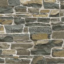 Stone wall bruin papel pintado Esta home rayas 