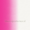 Dip dye strepen roze behang 140-148 606 marine Thema