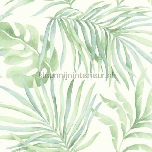 paradise palm papier peint so2452 romantique moderne York Wallcoverings