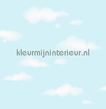 Wolkjes wallcovering Dutch Wallcoverings urban 