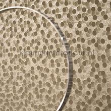 CHROME DOTS TAUPE papier peint CHR28361135 Casadeco