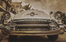 Miami - vintage brown fotobehang Dutch Wallcoverings Kunst Ambiance 
