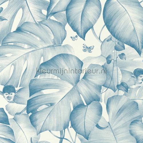 Blue monkeys tapet 36625-1 salg AS Creation