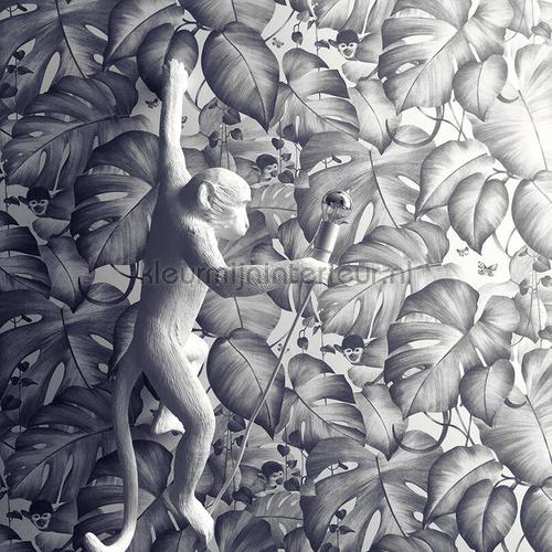 Blue monkeys tapet 36625-1 salg AS Creation