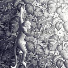 Blue monkeys tapet 36625-1 salg AS Creation