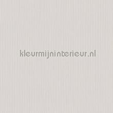 Zeer fijne lengte reliefstructuur wallcovering AS Creation Collected 34457-4