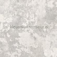 Kalk beton effect tapeten Dutch Wallcoverings weltraum 