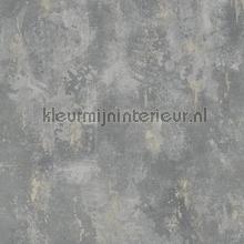 Natuursteen look papier peint Dutch Wallcoverings Collected tp1008