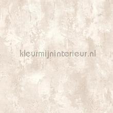Natuursteen look papier peint Dutch Wallcoverings Collected tp1011