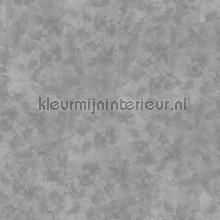 absolute concrete fotomurales Noordwand Concrete Cire 330617