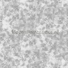 absolute concrete fotomurales Noordwand Concrete Cire 330631