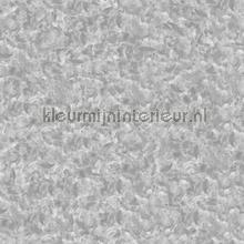 Polished concrete fotomurales Noordwand Concrete Cire 330686