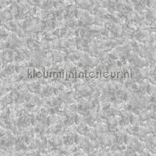 Polished concrete papier peint Noordwand Concrete Cire 330686