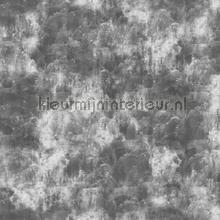 Cloud concrete fotomurales Noordwand Concrete Cire 330716