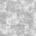 Cloud concrete behang 330723 Concrete Cire Noordwand