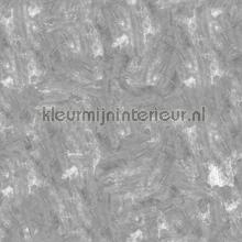 Glazed concrete fotomurales Noordwand Concrete Cire 330761
