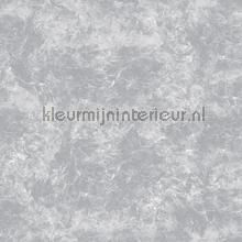 Powder concrete fotomurales Noordwand Concrete Cire 330808