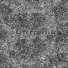 Powder concrete papier peint Noordwand spcial 