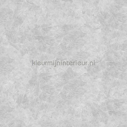 Powder concrete behang 330846 Concrete Cire Noordwand