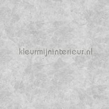 Powder concrete fotomurales Noordwand Concrete Cire 330846